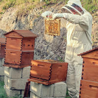 A beekeeper harvesting honey at the farm at Kokomo Private Island Fiji