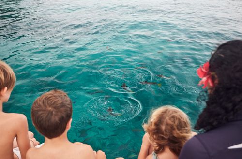 Kokomo Private Island team and children looking down at the water with fish swimming near the surface.