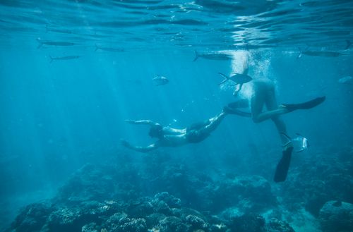 Two people snorkelling in the waters off the coast of Kokomo Private Island.