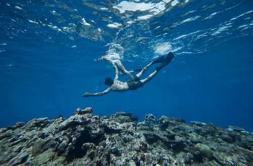 Two people snorkelling and holding hands above some coral near the surface of the water off the coast of Kokomo Private Island.